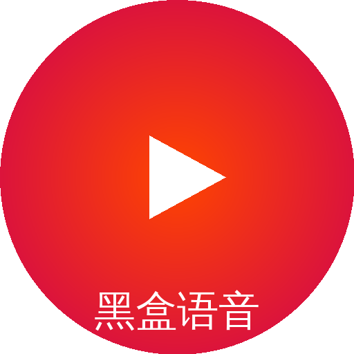 黑盒语音